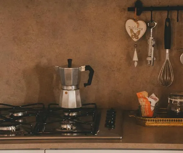 Ponte Vecchio * 巴萨诺－德尔格拉帕